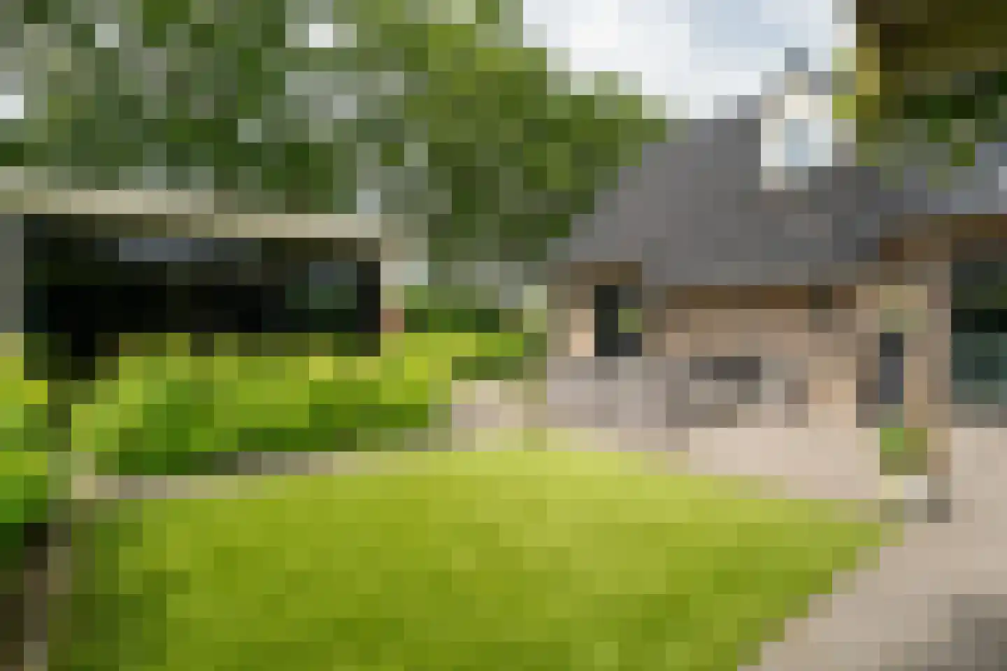 Distelvlinder 2 Enschede thumbnail 54