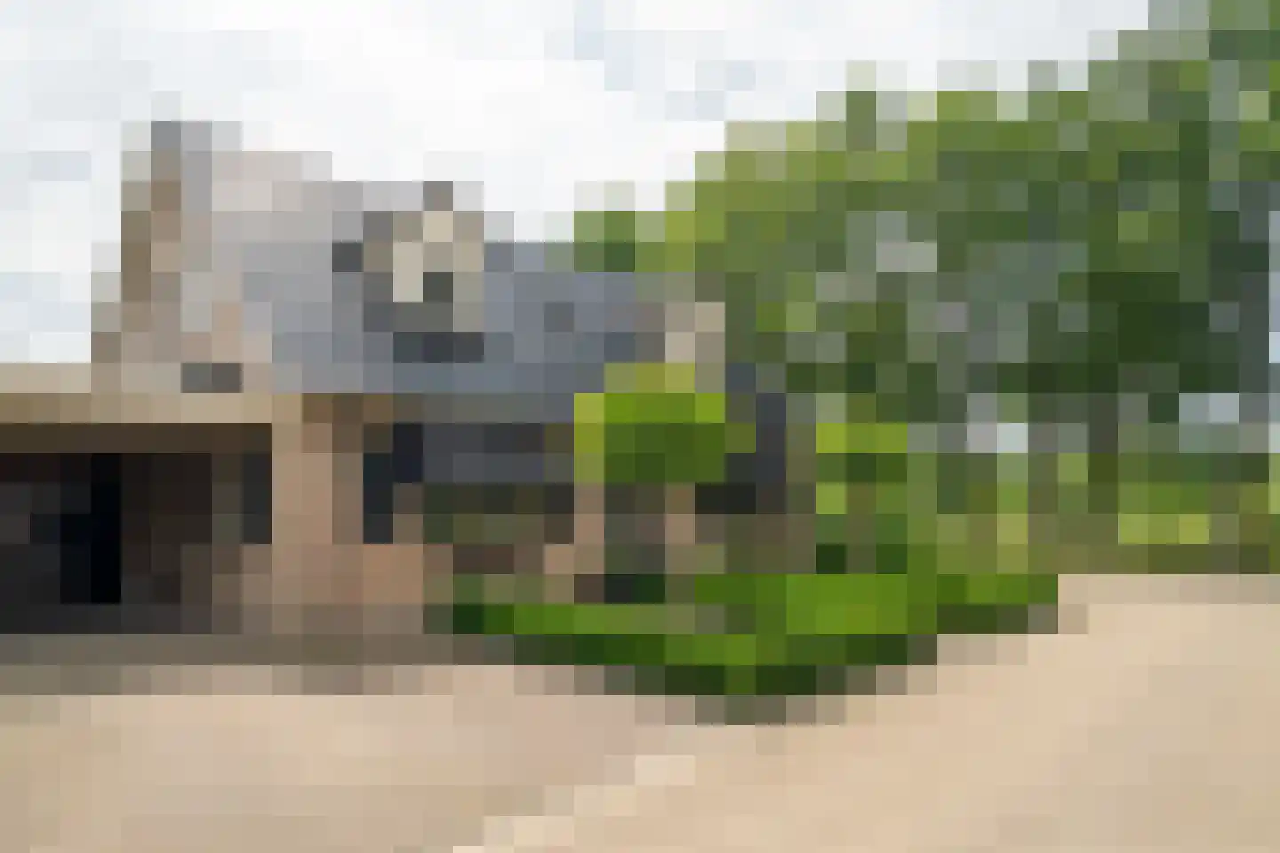 Distelvlinder 2 Enschede thumbnail 57