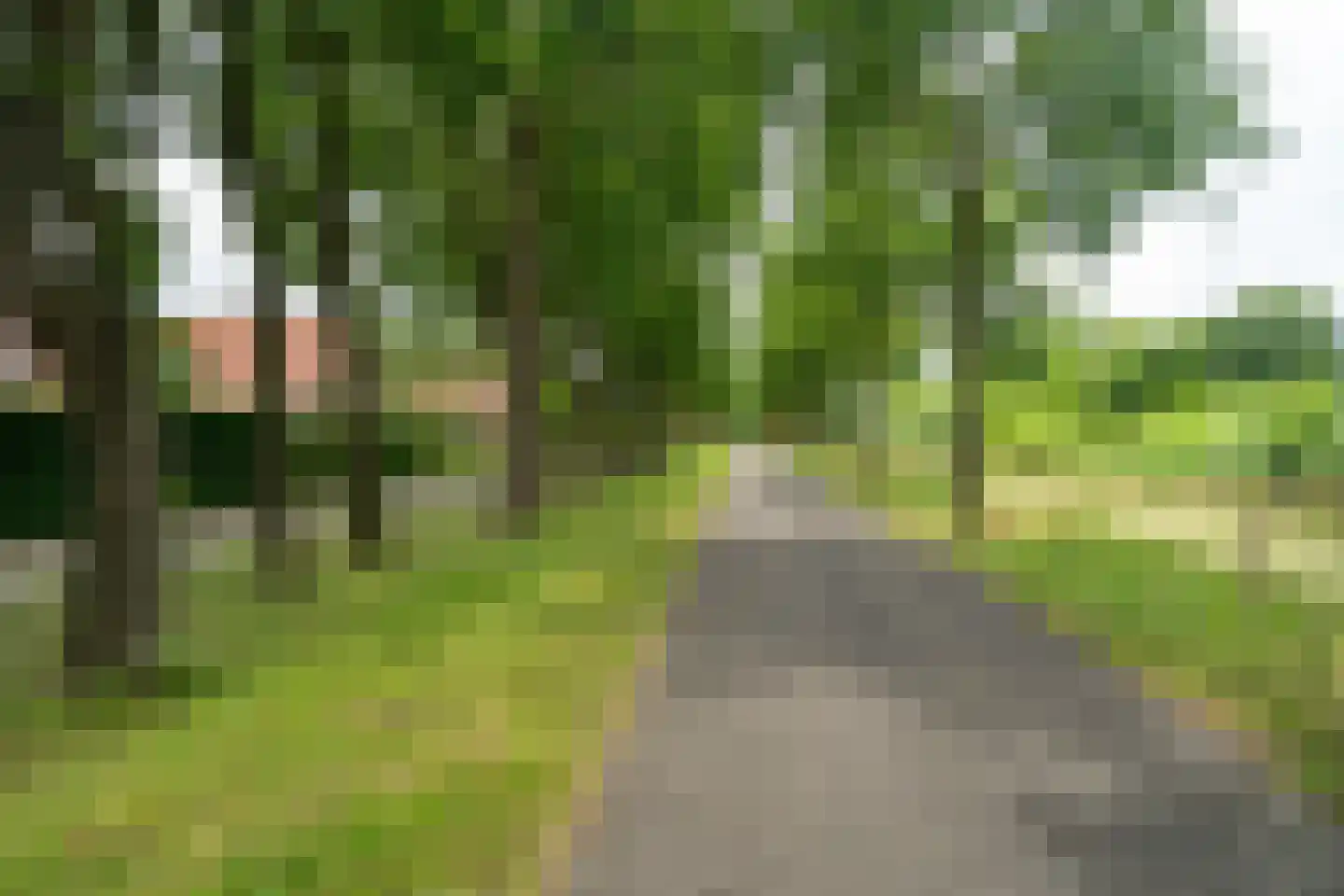 Distelvlinder 2 Enschede thumbnail 59