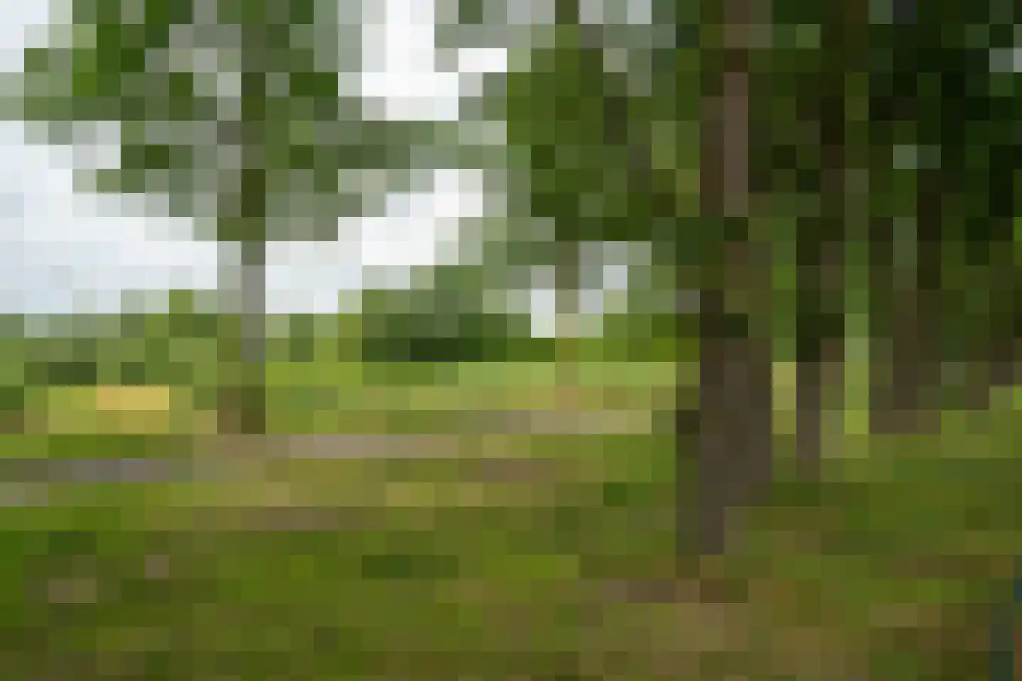 Distelvlinder 2 Enschede thumbnail 60