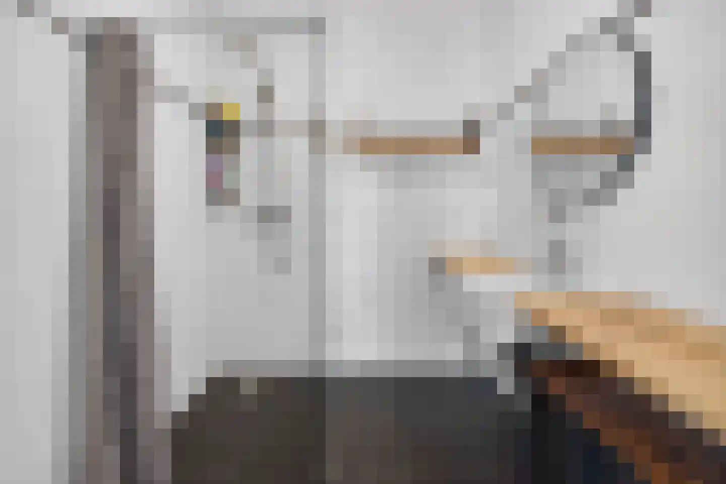 Distelvlinder 24 Den Burg thumbnail 17