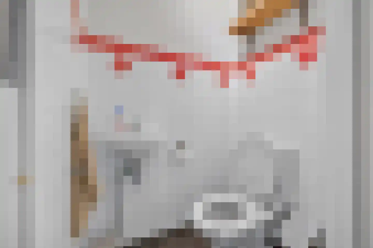 Distelvlinder 24 Den Burg thumbnail 18