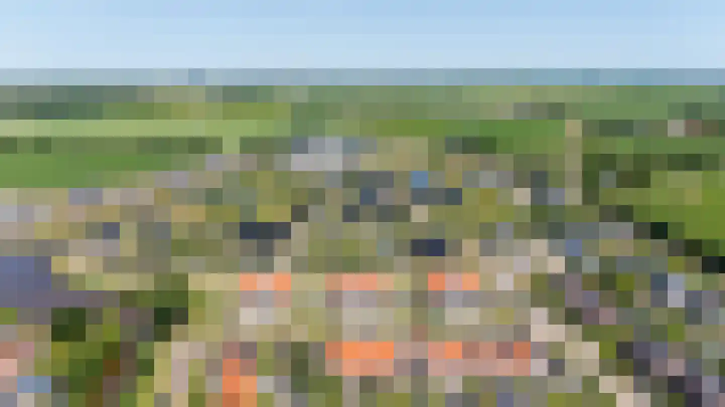 Distelvlinder 24 Den Burg thumbnail 20