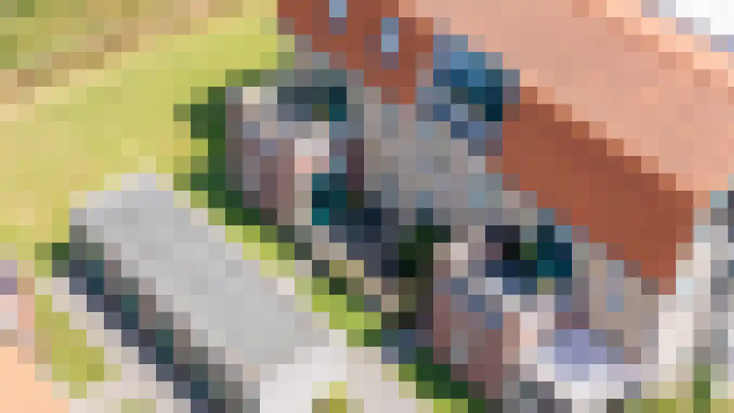 Distelvlinder 24 Den Burg thumbnail 4