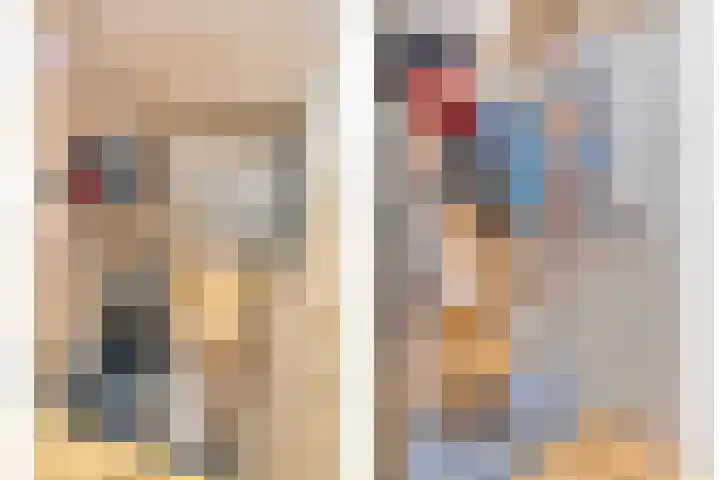 Distelvlinder 3 Mierlo thumbnail 10