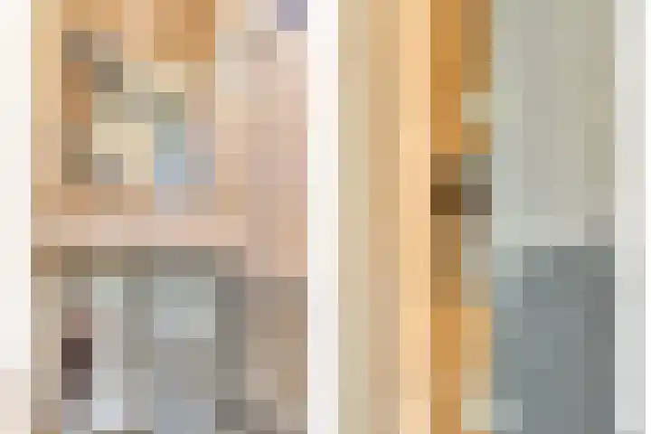 Distelvlinder 3 Mierlo thumbnail 11