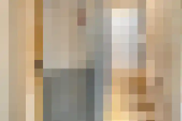 Distelvlinder 3 Mierlo thumbnail 12