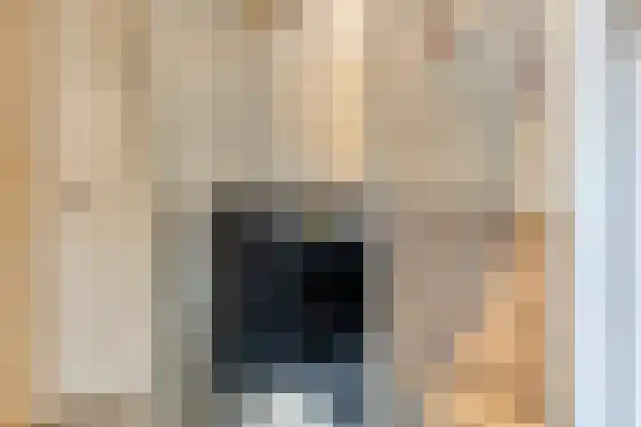 Distelvlinder 3 Mierlo thumbnail 13