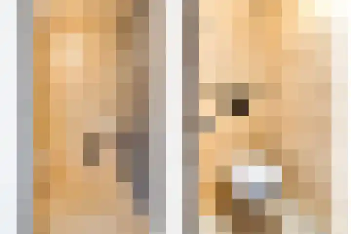 Distelvlinder 3 Mierlo thumbnail 14