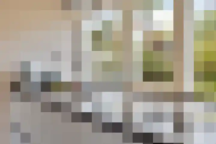 Distelvlinder 3 Mierlo thumbnail 17