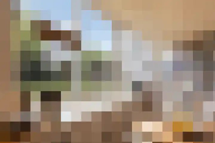 Distelvlinder 3 Mierlo thumbnail 20