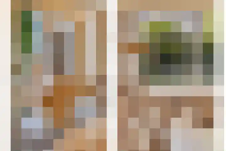 Distelvlinder 3 Mierlo thumbnail 21