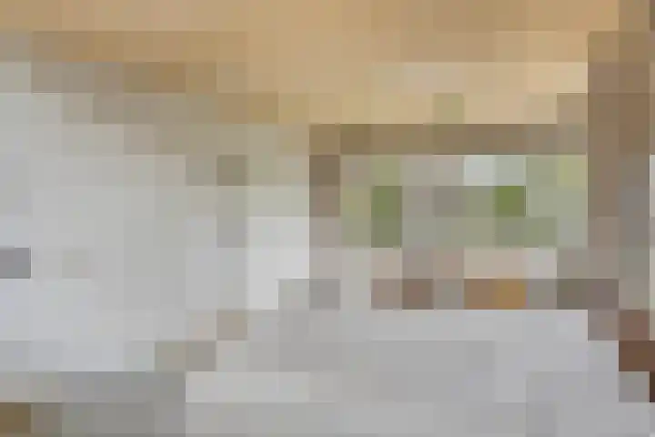 Distelvlinder 3 Mierlo thumbnail 23