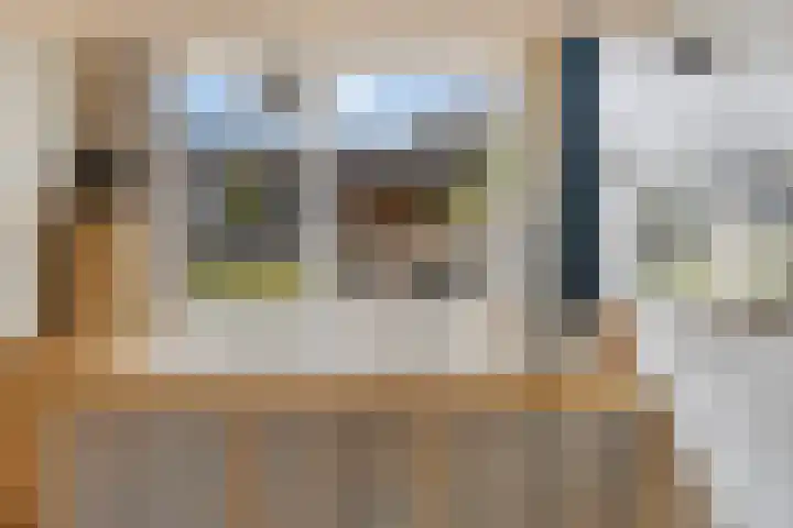 Distelvlinder 3 Mierlo thumbnail 25
