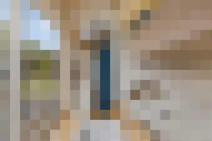 Distelvlinder 3 Mierlo thumbnail 26