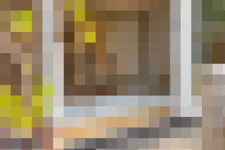 Distelvlinder 3 Mierlo thumbnail 29