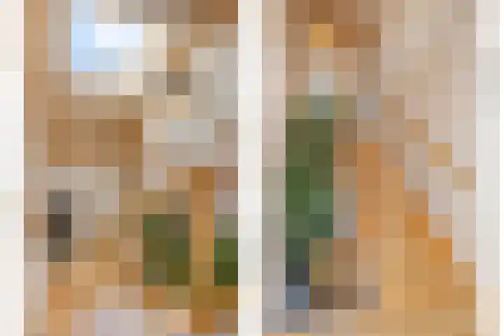 Distelvlinder 3 Mierlo thumbnail 33