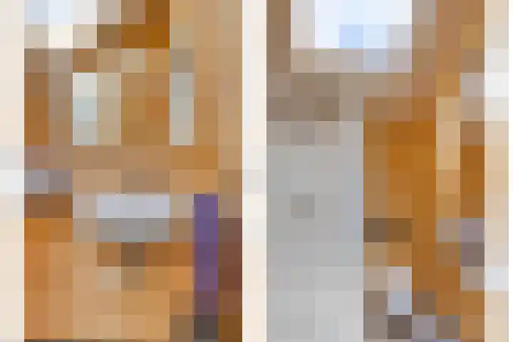 Distelvlinder 3 Mierlo thumbnail 35