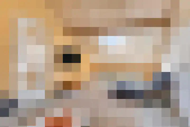 Distelvlinder 3 Mierlo thumbnail 37