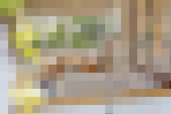 Distelvlinder 3 Mierlo thumbnail 4
