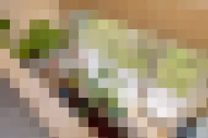 Distelvlinder 3 Mierlo thumbnail 40