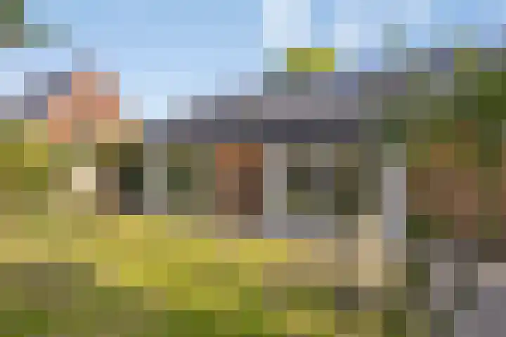 Distelvlinder 3 Mierlo thumbnail 44