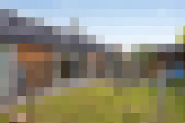 Distelvlinder 3 Mierlo thumbnail 45