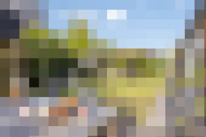 Distelvlinder 3 Mierlo thumbnail 46