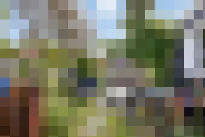 Distelvlinder 3 Mierlo thumbnail 47
