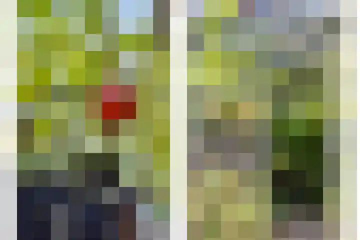 Distelvlinder 3 Mierlo thumbnail 52