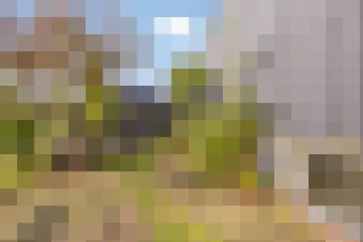 Distelvlinder 3 Mierlo thumbnail 53