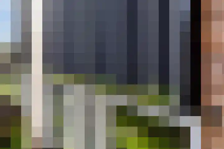 Distelvlinder 3 Mierlo thumbnail 55