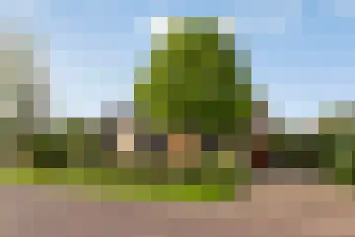 Distelvlinder 3 Mierlo thumbnail 56