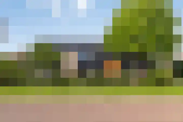 Distelvlinder 3 Mierlo thumbnail 57