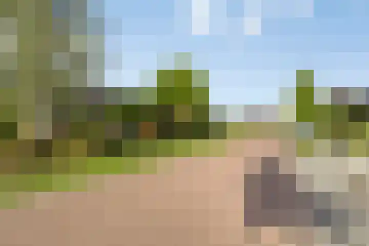 Distelvlinder 3 Mierlo thumbnail 58