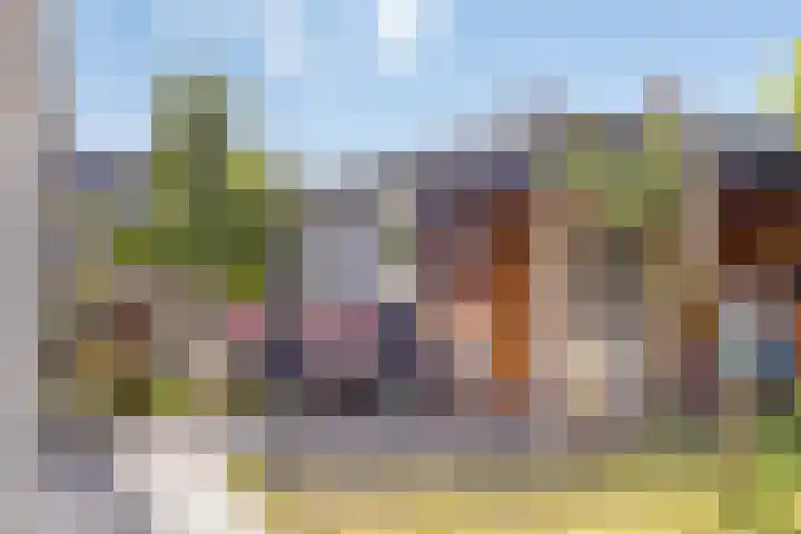 Distelvlinder 3 Mierlo thumbnail 6