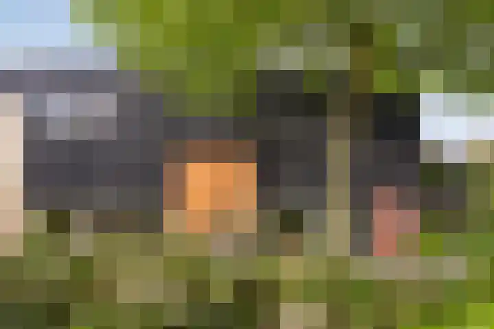 Distelvlinder 3 Mierlo thumbnail 7
