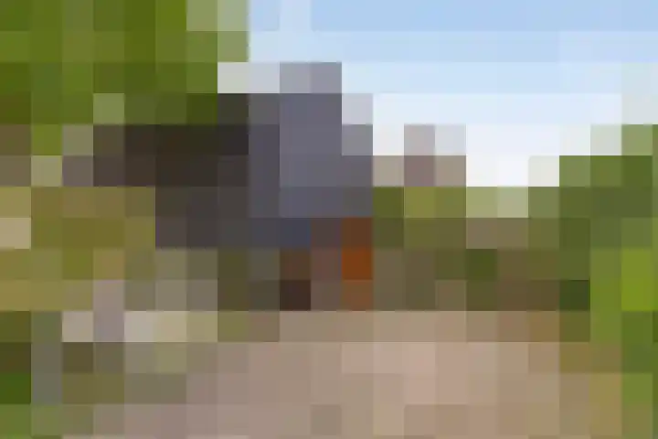 Distelvlinder 3 Mierlo thumbnail 8