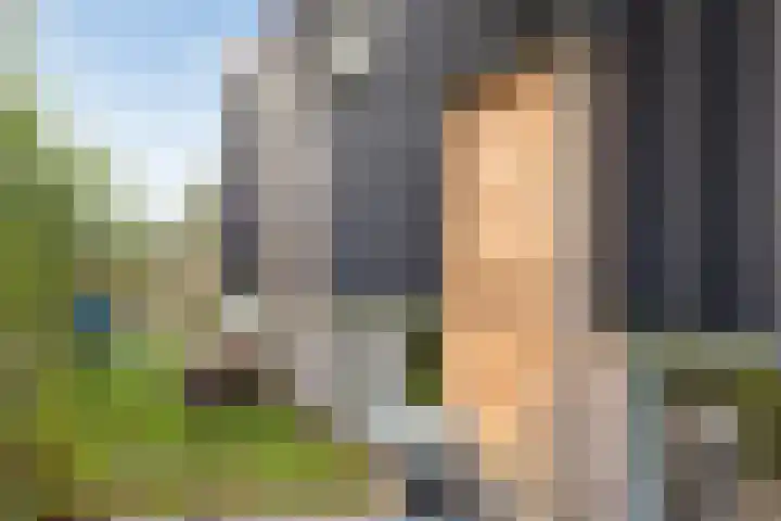 Distelvlinder 3 Mierlo thumbnail 9