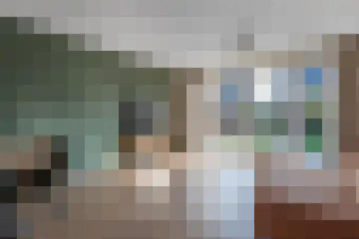 Distelvlinder 41 Wolvega thumbnail 12