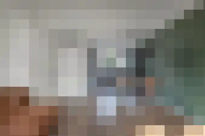 Distelvlinder 41 Wolvega thumbnail 15