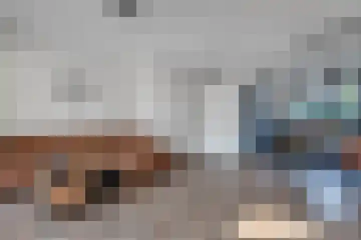 Distelvlinder 41 Wolvega thumbnail 17