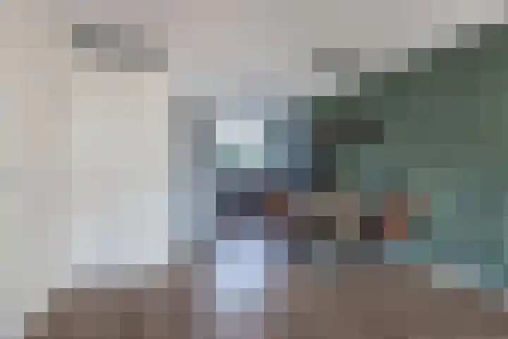Distelvlinder 41 Wolvega thumbnail 18