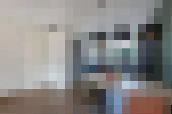 Distelvlinder 41 Wolvega thumbnail 19