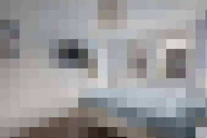 Distelvlinder 41 Wolvega thumbnail 22