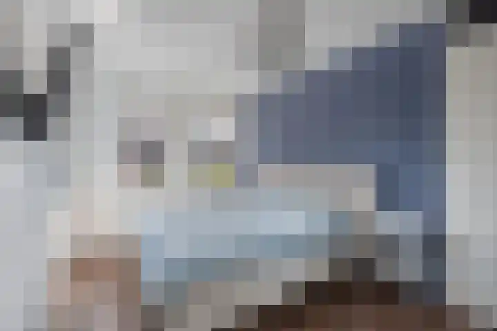 Distelvlinder 41 Wolvega thumbnail 23