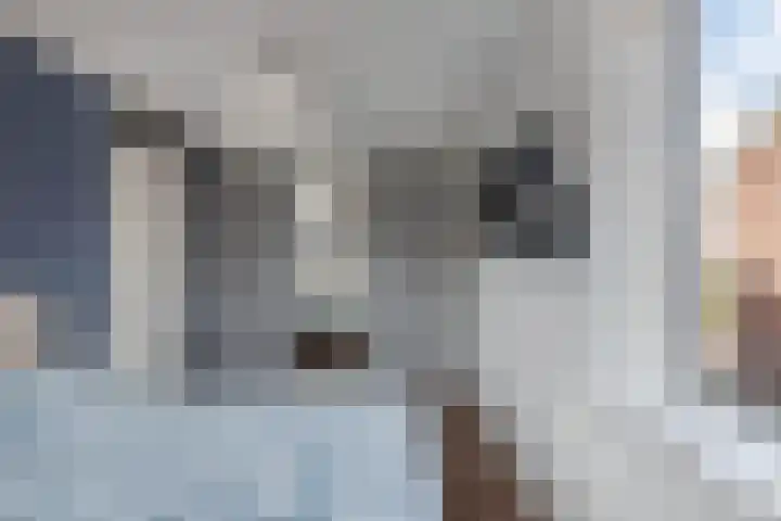 Distelvlinder 41 Wolvega thumbnail 24