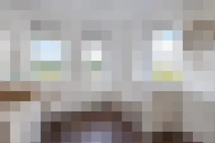 Distelvlinder 41 Wolvega thumbnail 25