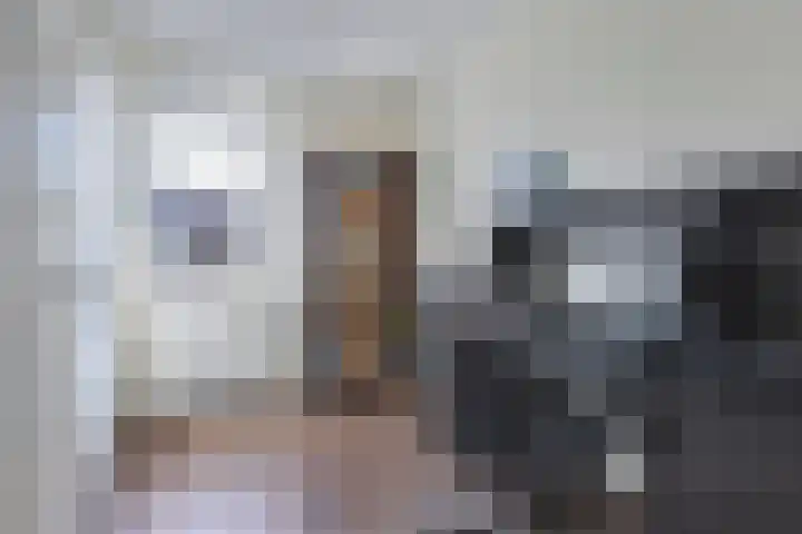 Distelvlinder 41 Wolvega thumbnail 27