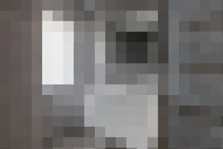 Distelvlinder 41 Wolvega thumbnail 30